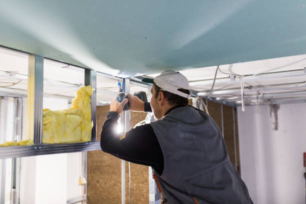 Best Crawl Space Insulation  in Christopher, IL