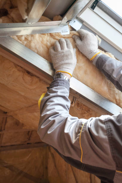 Best Spray Foam Insulation  in Christopher, IL