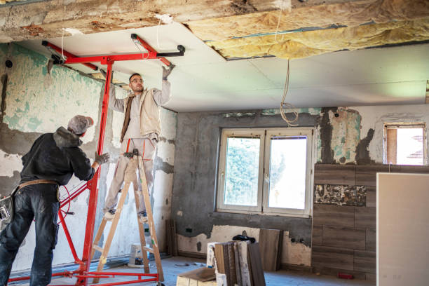Best Insulation Contractors for Homes  in Christopher, IL