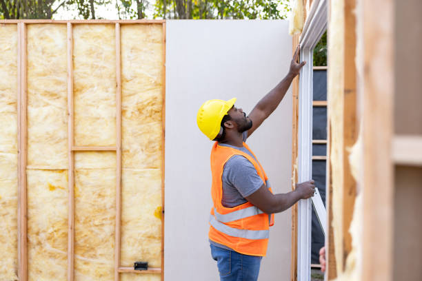 Best Fiberglass Insulation  in Christopher, IL