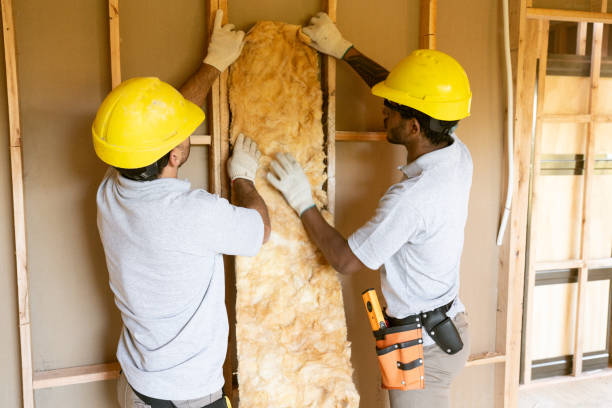 Best Insulation Repair Services  in Christopher, IL