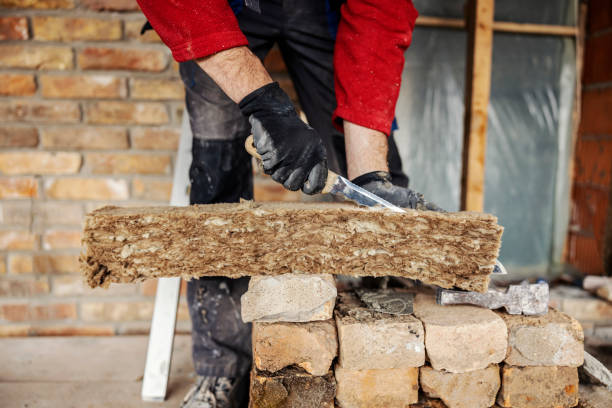 Best Professional Insulation Contractor  in Christopher, IL