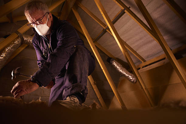 Best Garage Insulation Installation  in Christopher, IL