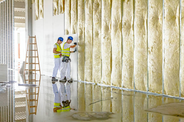 Best Blown-in Insulation  in Christopher, IL